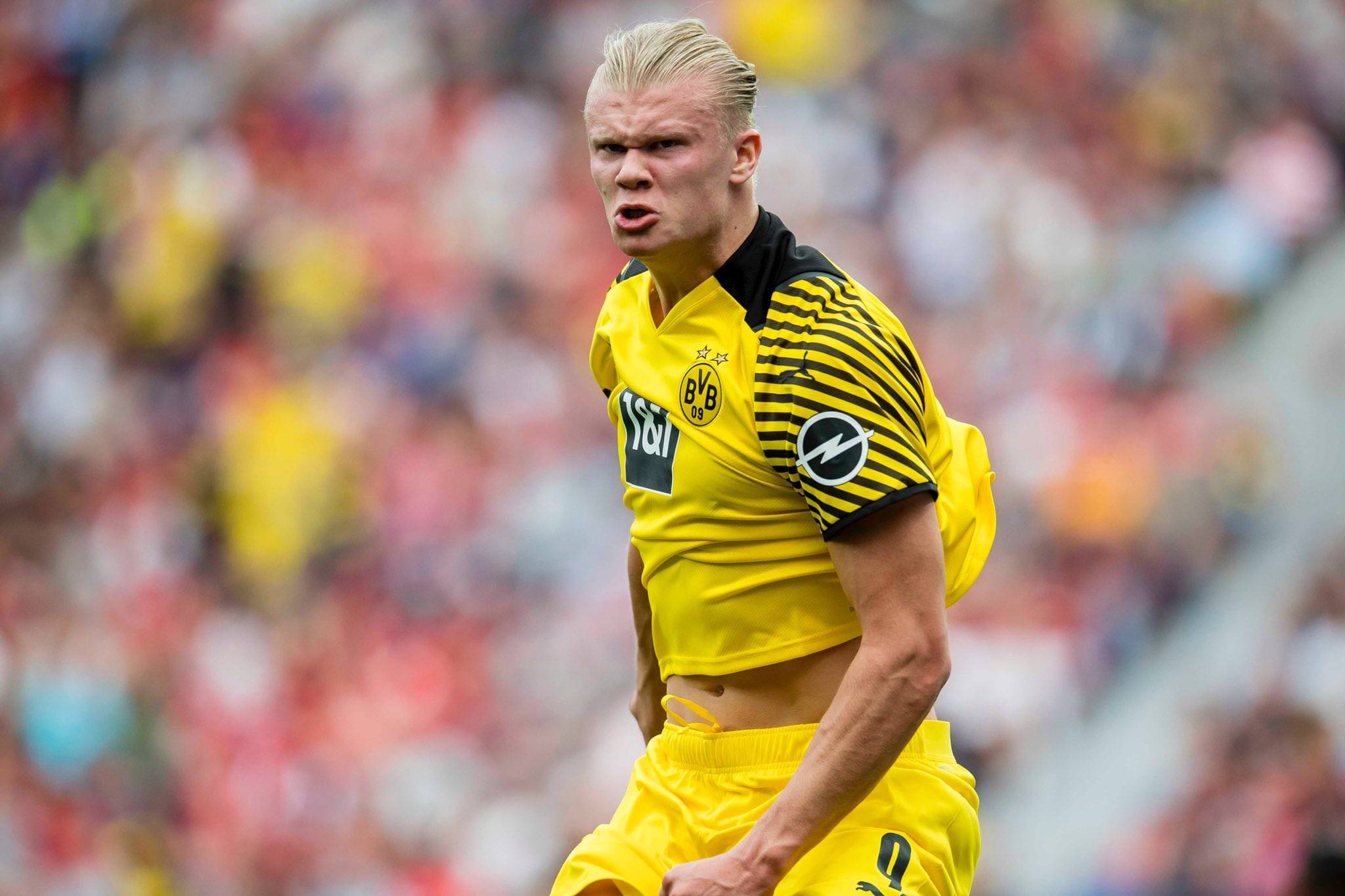 副牌分可清 副牌分可清